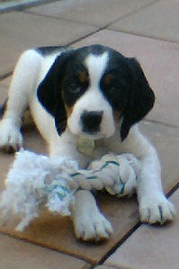 lola